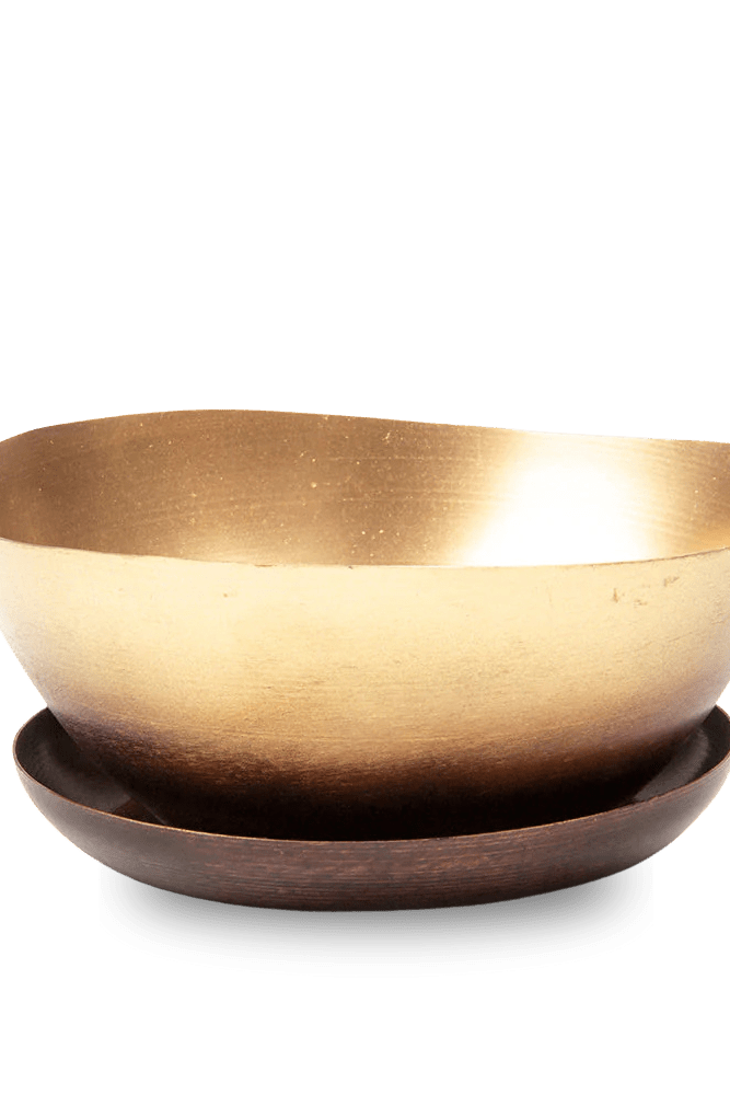 Topper Metal Succulent Dish - Chive US Wholesale