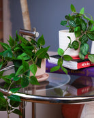 Trailing Plants Fake/ Artificial Kit - 36pc Assortment - Chive US Wholesale