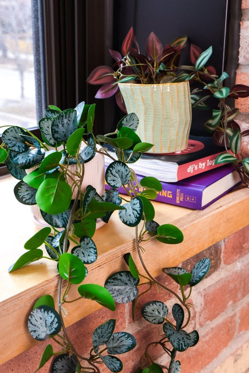 Trailing Plants Fake/ Artificial Kit - 36pc Assortment - Chive US Wholesale