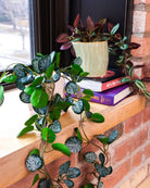 Trailing Plants Fake/ Artificial Kit - 36pc Assortment - Chive US Wholesale