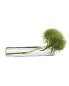 Test Tube Glass Bud Vases - Chive US Wholesale