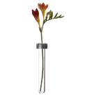 Alu Magnetic Flower Test Tube Holder - Chive US Wholesale