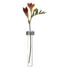 Alu Magnetic Flower Test Tube Holder - Chive US Wholesale