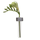 Alu Magnetic Flower Test Tube Holder - Chive US Wholesale