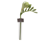 Alu Magnetic Flower Test Tube Holder - Chive US Wholesale