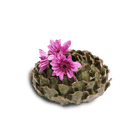 Utopia Ceramic Floral Vase - Chive US Wholesale