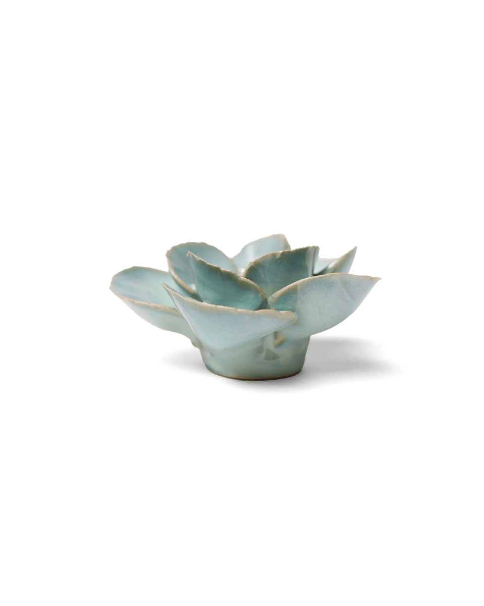 EG19 Milk Teal Poppy - Chive US Wholesale