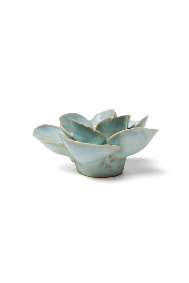 EG19 Milk Teal Poppy - Chive US Wholesale