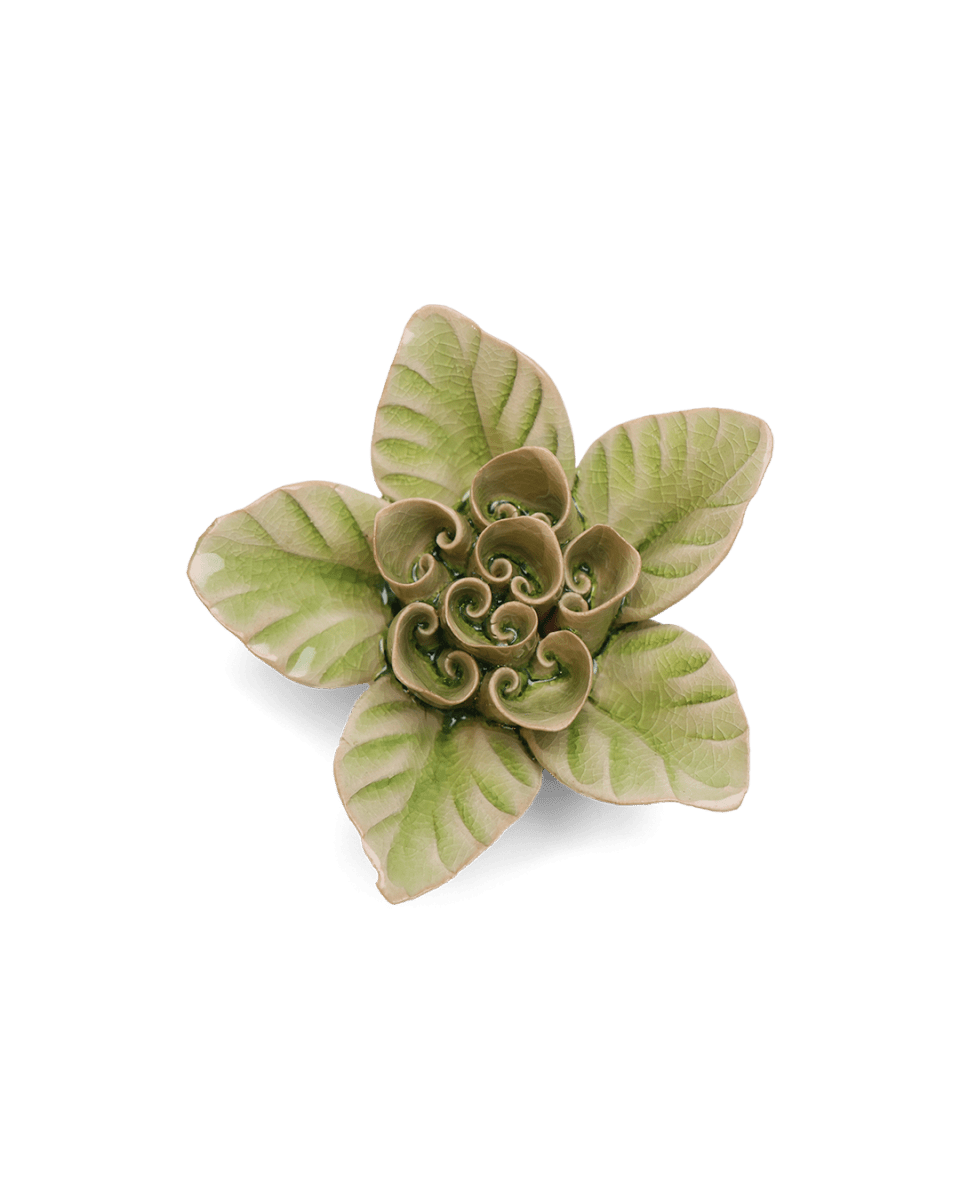 EG18 Peridot Green Maiden Lotus - Chive US Wholesale