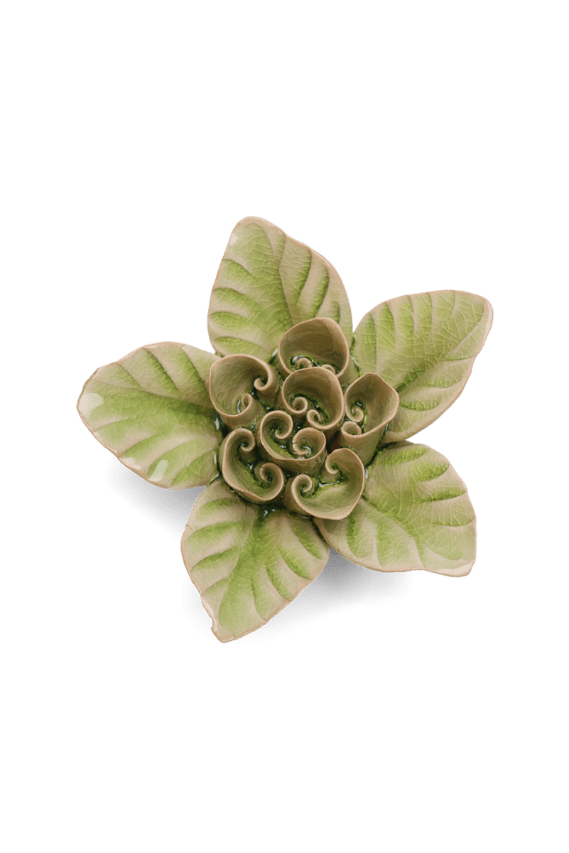 EG18 Peridot Green Maiden Lotus - Chive US Wholesale