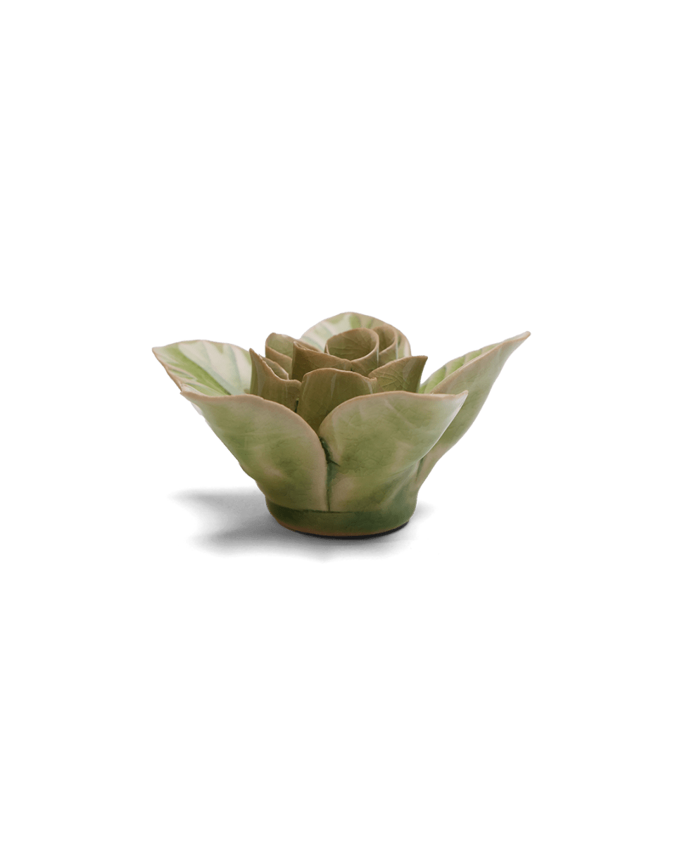 EG18 Peridot Green Maiden Lotus - Chive US Wholesale