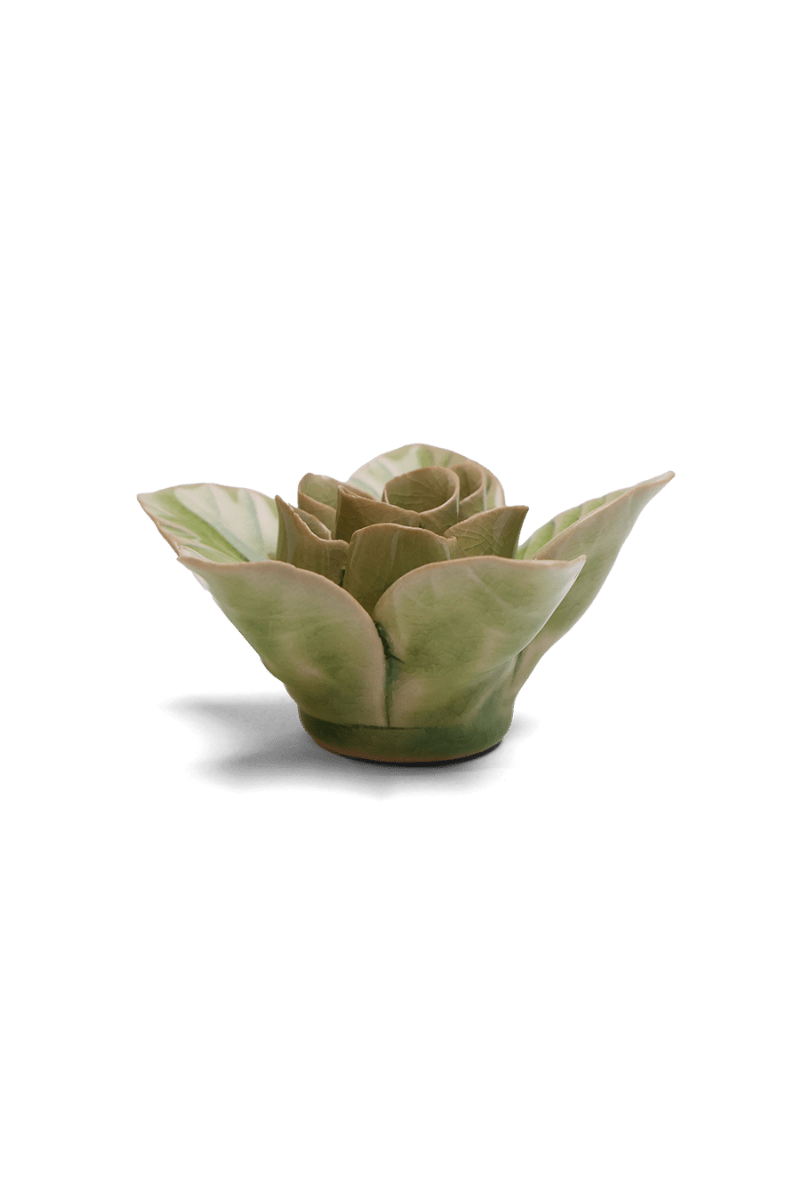 EG18 Peridot Green Maiden Lotus - Chive US Wholesale