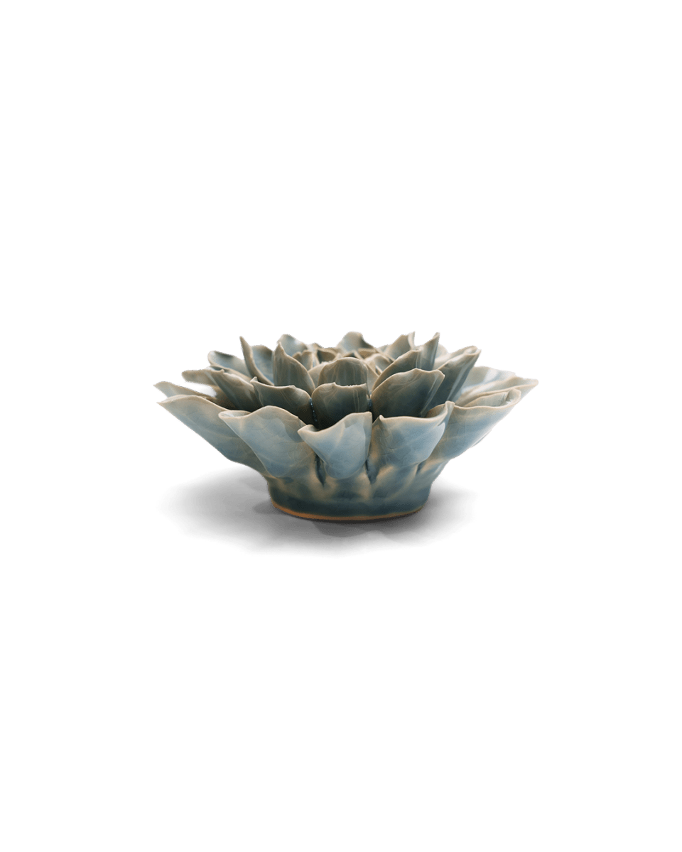 EG17 Powder Blue Aphrodite Dahlia - Chive US Wholesale