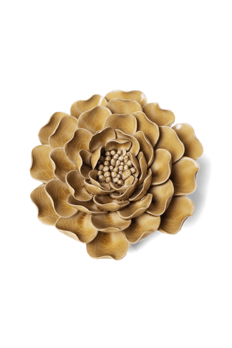 EG16 Caramel Charm Peony - Chive US Wholesale