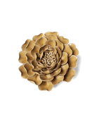 EG16 Caramel Charm Peony - Chive US Wholesale