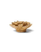 EG16 Caramel Charm Peony - Chive US Wholesale