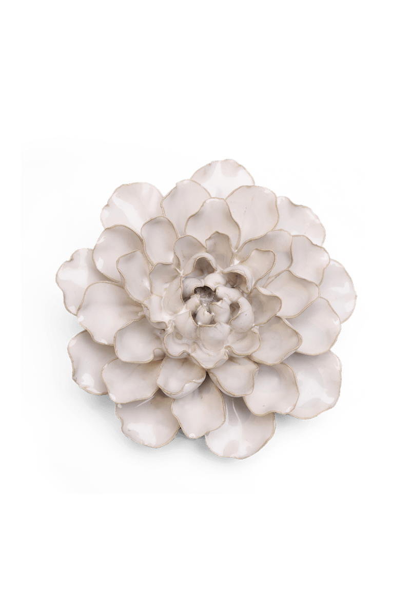 EG15 Ivory European Water Lily - Chive US Wholesale