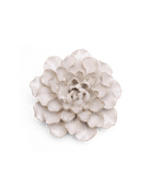 EG15 Ivory European Water Lily - Chive US Wholesale