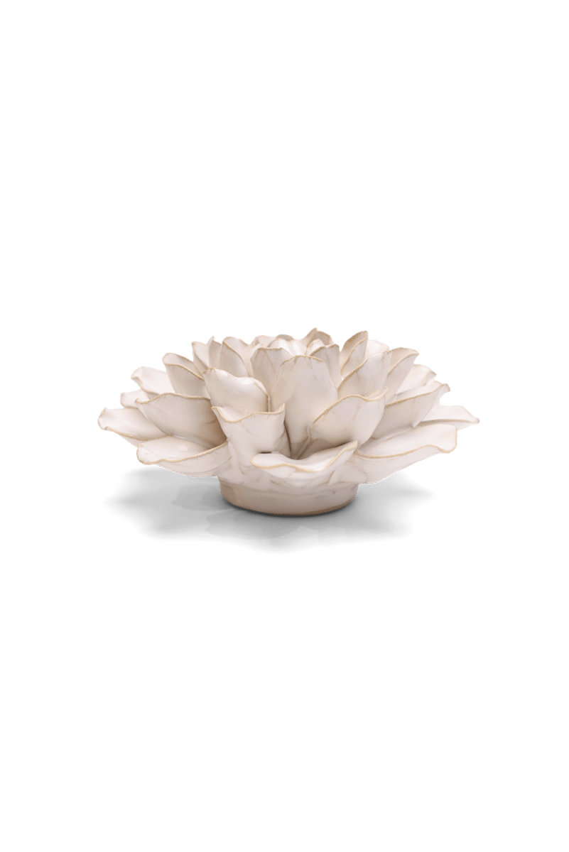 EG15 Ivory European Water Lily - Chive US Wholesale
