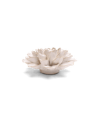 EG15 Ivory European Water Lily - Chive US Wholesale