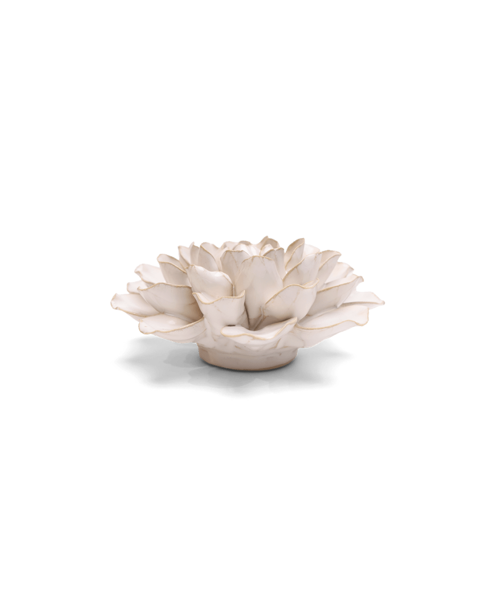 EG15 Ivory European Water Lily - Chive US Wholesale