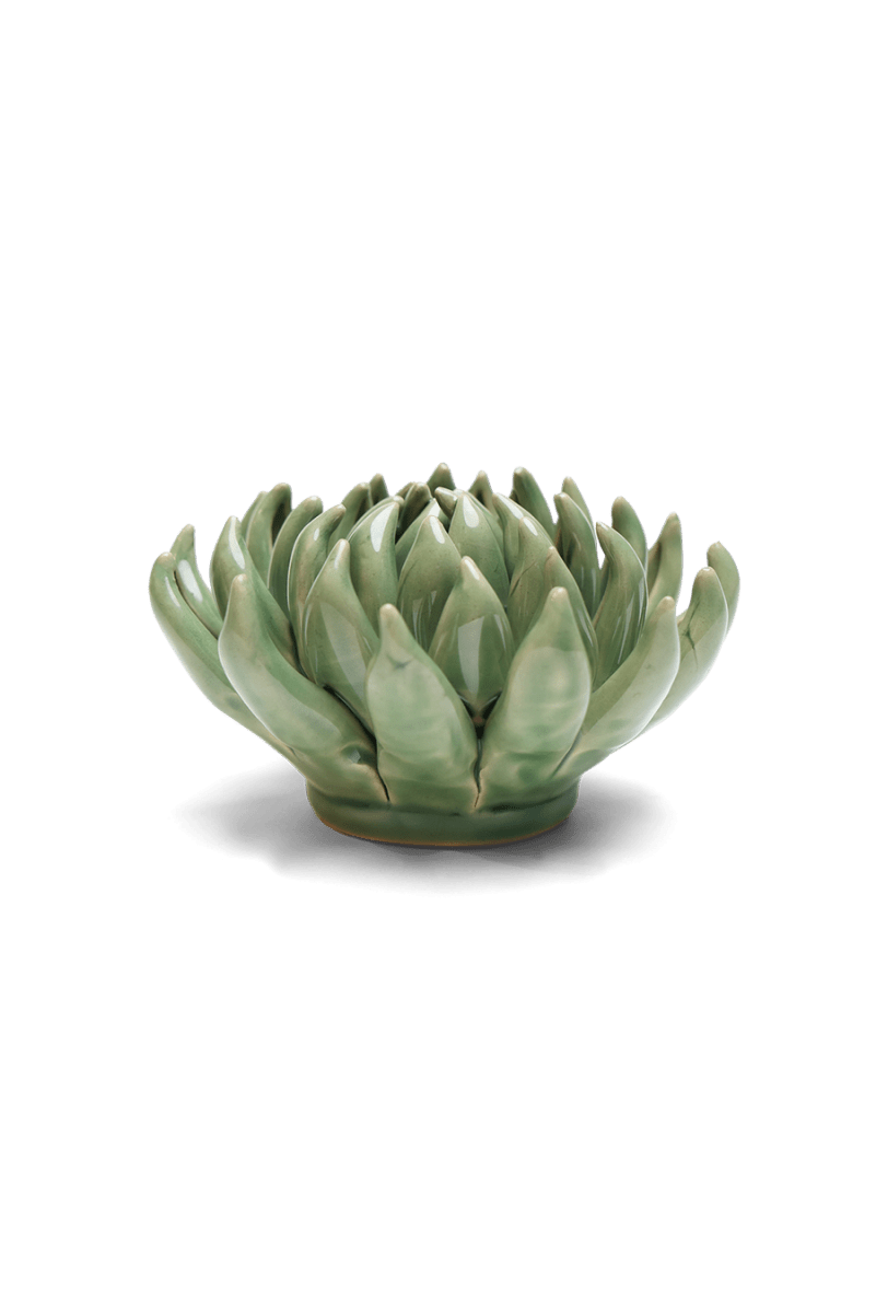 EG14 Jade Green Succulent - Chive US Wholesale