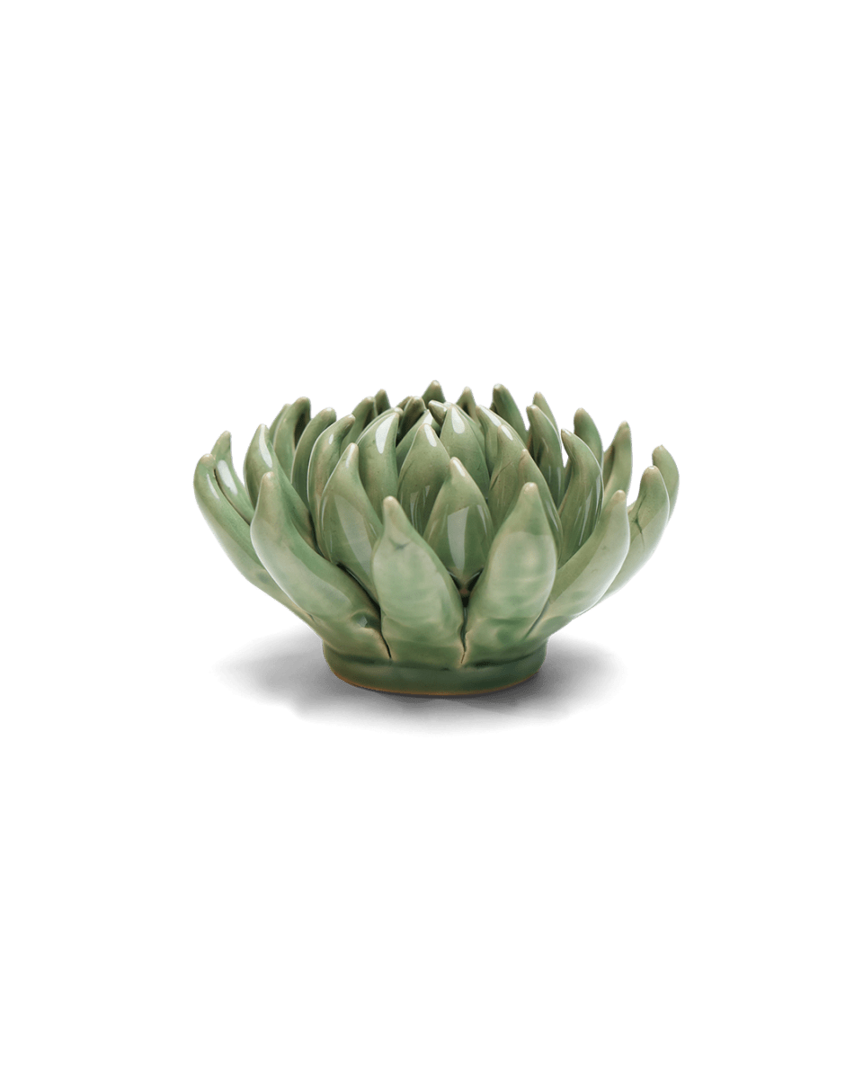EG14 Jade Green Succulent - Chive US Wholesale