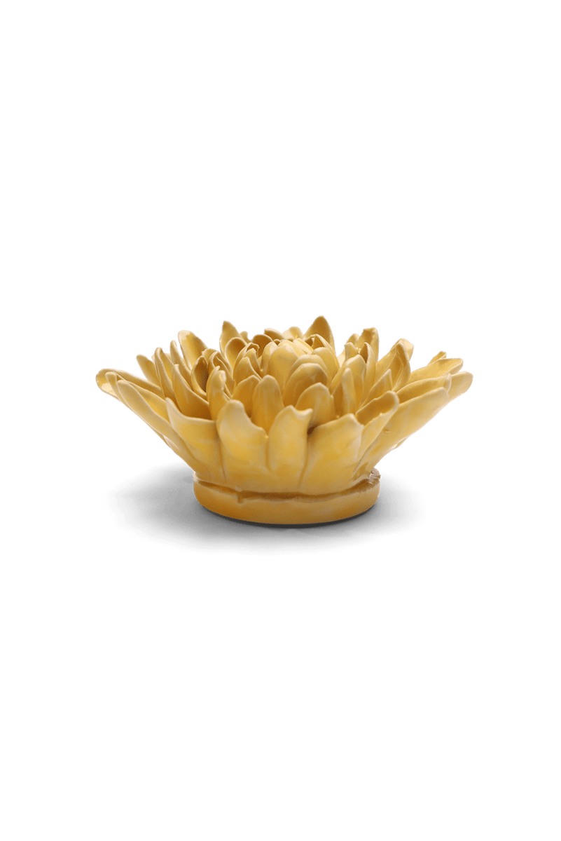 EG13 Buttercup Yellow Chrysanthemum - Chive US Wholesale