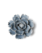 EG08 Pastel Blue Rose - Chive US Wholesale