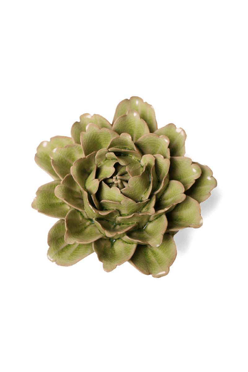 EG06 Peridot Comanche Peony - Chive US Wholesale