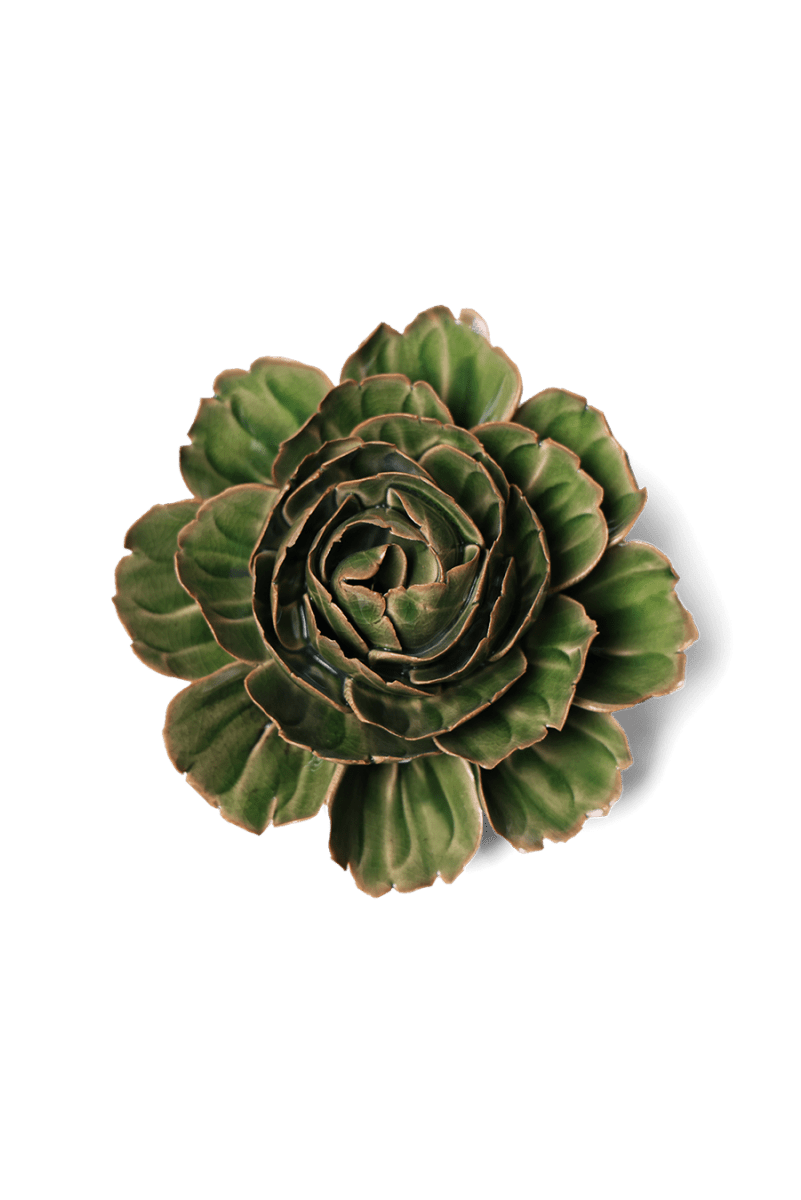 EG05 Avocado Green Rozella Peony - Chive US Wholesale