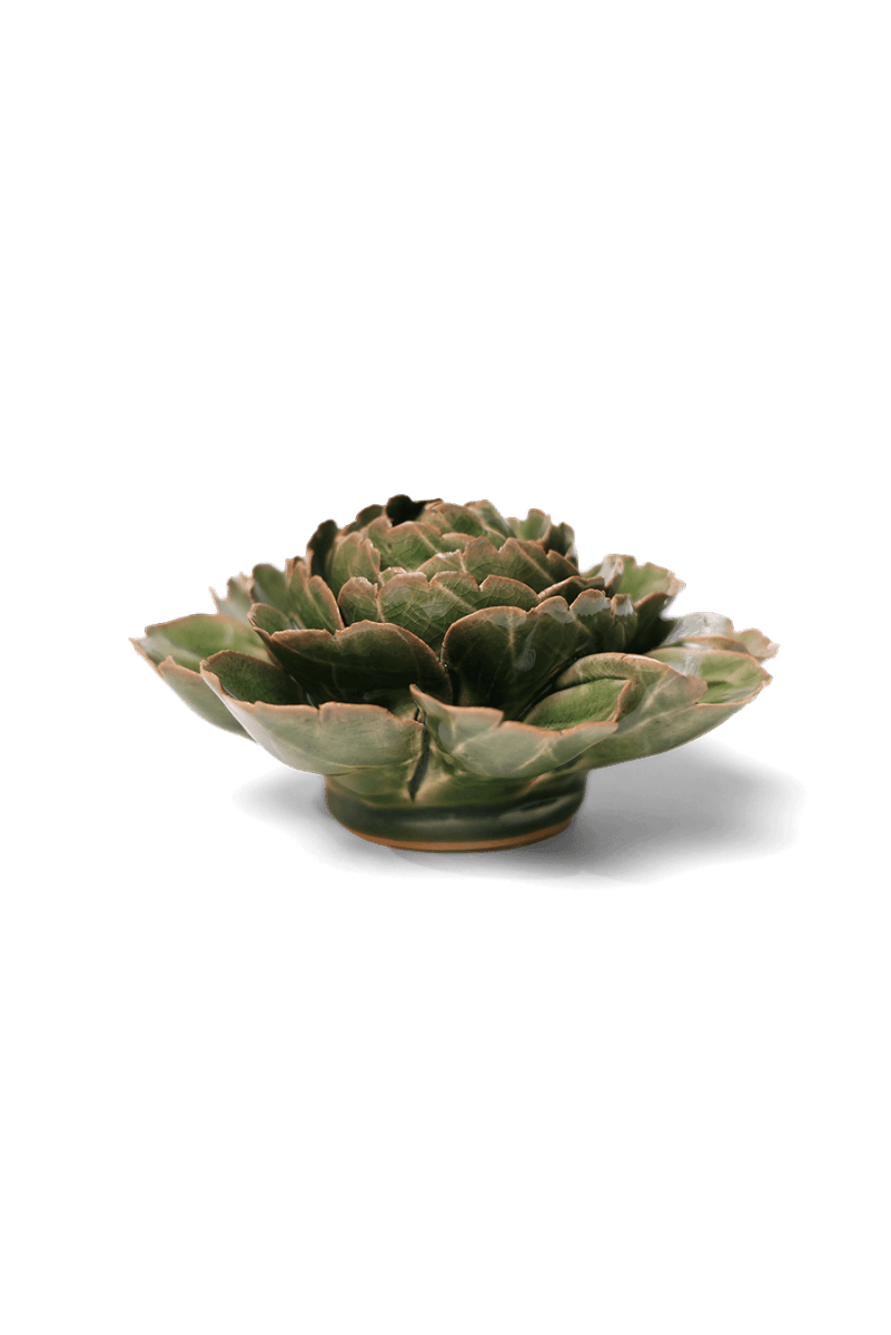 EG05 Avocado Green Rozella Peony - Chive US Wholesale