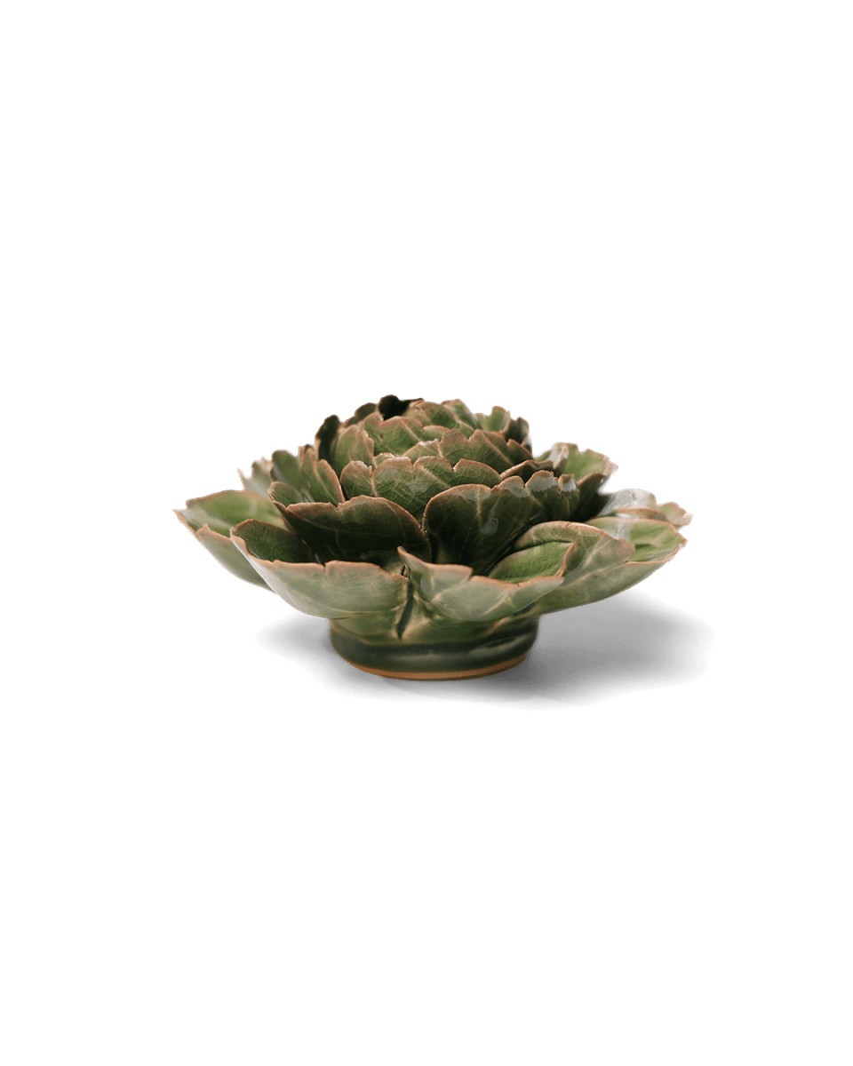 EG05 Avocado Green Rozella Peony - Chive US Wholesale