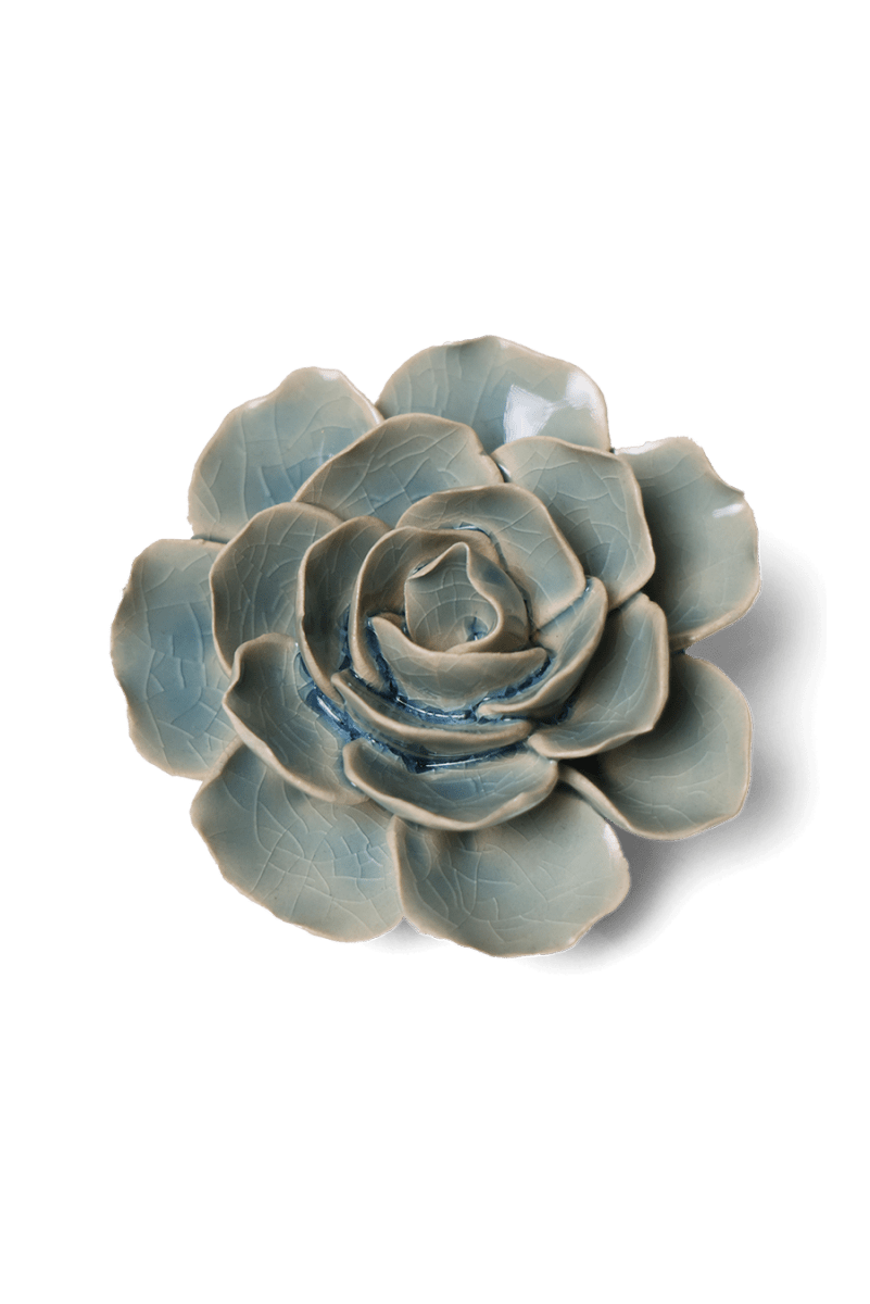 EG04 Powder Blue Amandine Ranunculus - Chive US Wholesale