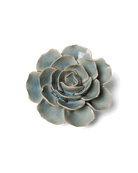EG04 Powder Blue Amandine Ranunculus - Chive US Wholesale
