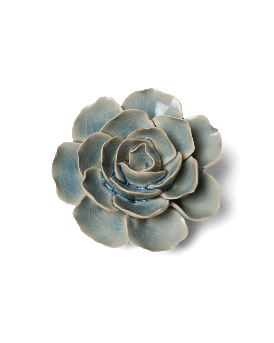 EG04 Powder Blue Amandine Ranunculus - Chive US Wholesale