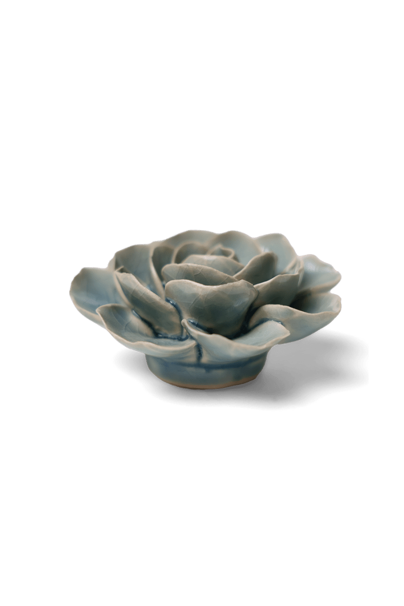 EG04 Powder Blue Amandine Ranunculus - Chive US Wholesale