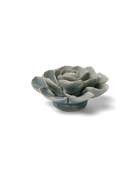 EG04 Powder Blue Amandine Ranunculus - Chive US Wholesale