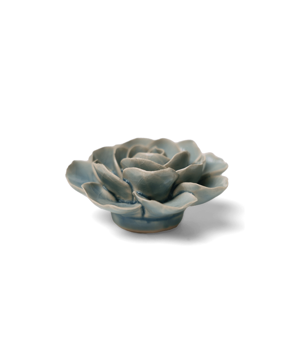 EG04 Powder Blue Amandine Ranunculus - Chive US Wholesale