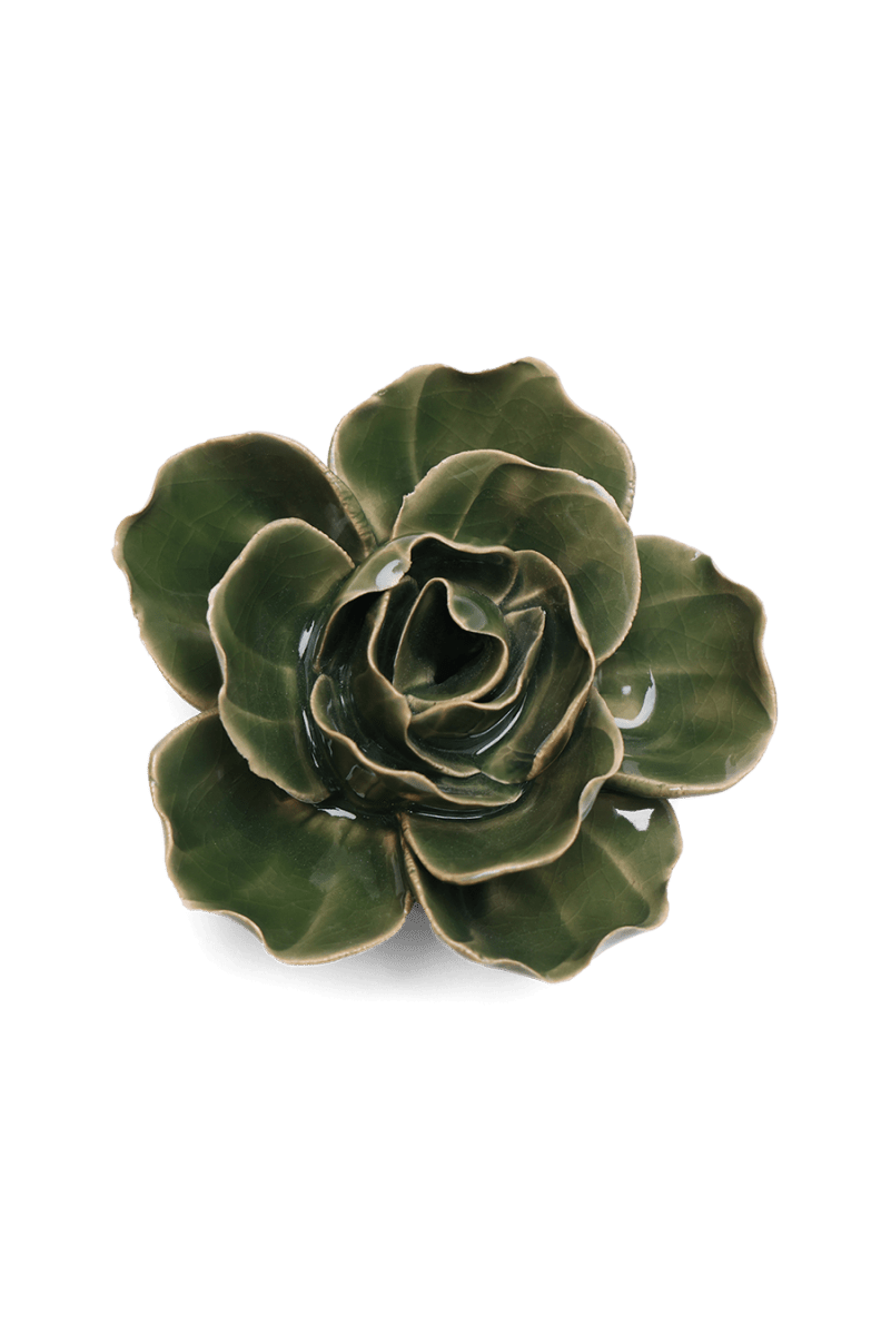 EG03 Fir Green Butterfly Ranunculus - Chive US Wholesale