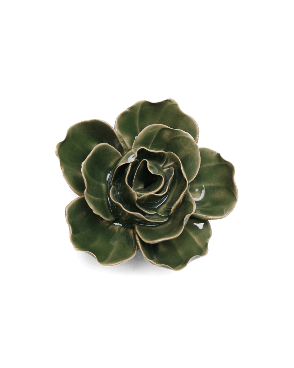 EG03 Fir Green Butterfly Ranunculus - Chive US Wholesale