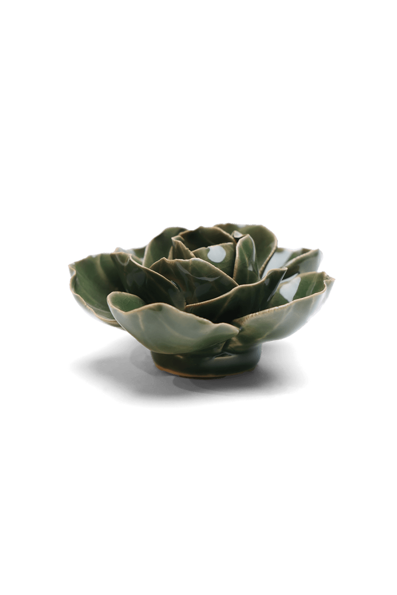 EG03 Fir Green Butterfly Ranunculus - Chive US Wholesale