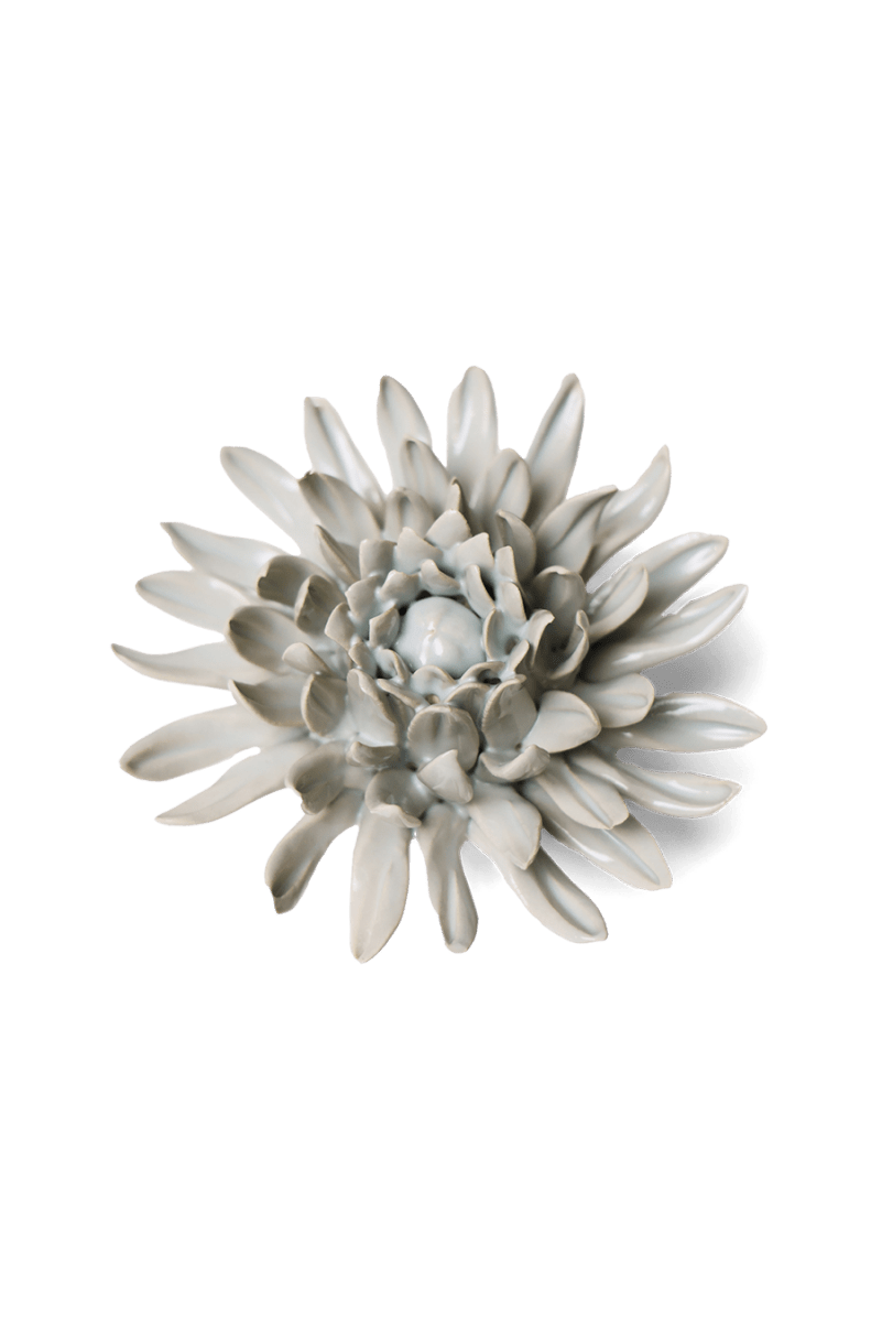 EG02 Panache Green Spider Mum - Chive US Wholesale