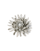 EG02 Panache Green Spider Mum - Chive US Wholesale