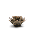 EG01 Olive Green Echeveria - Chive US Wholesale