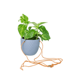 Virago Ceramic Modern Hanging Planter - Chive US Wholesale