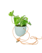 Virago Ceramic Modern Hanging Planter - Chive US Wholesale