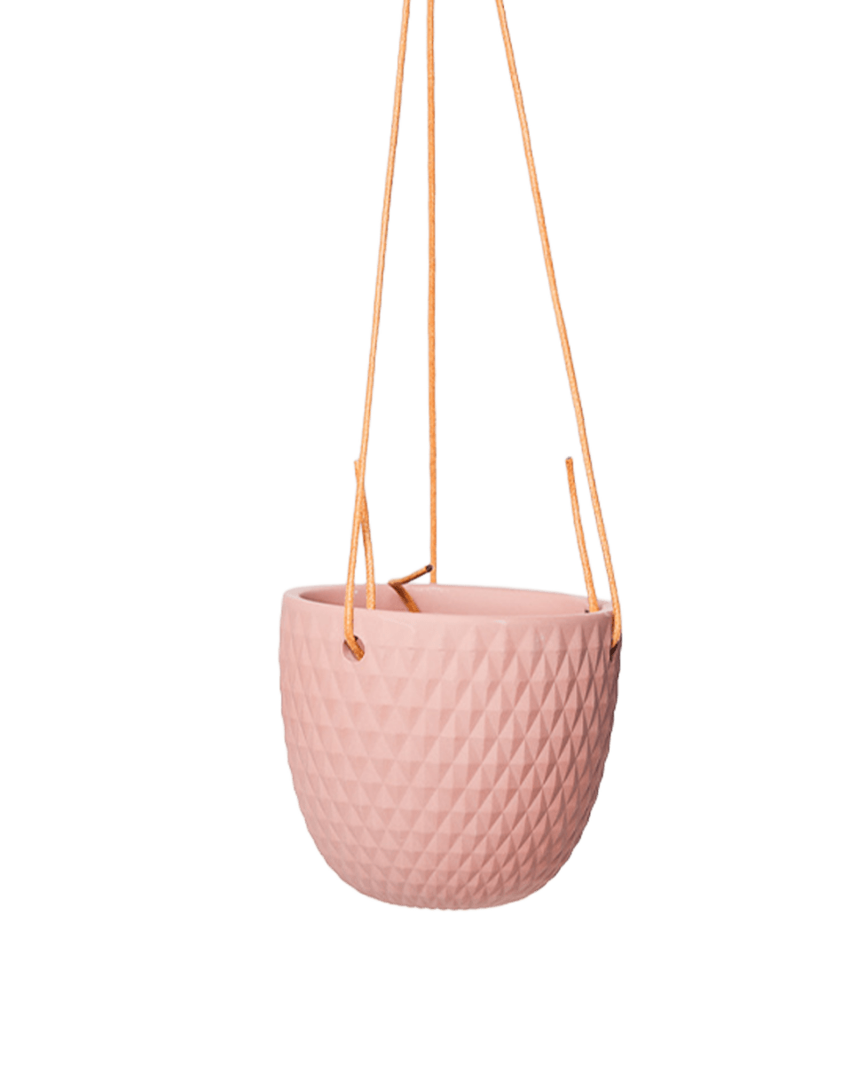 Virago Ceramic Modern Hanging Planter - Chive US Wholesale