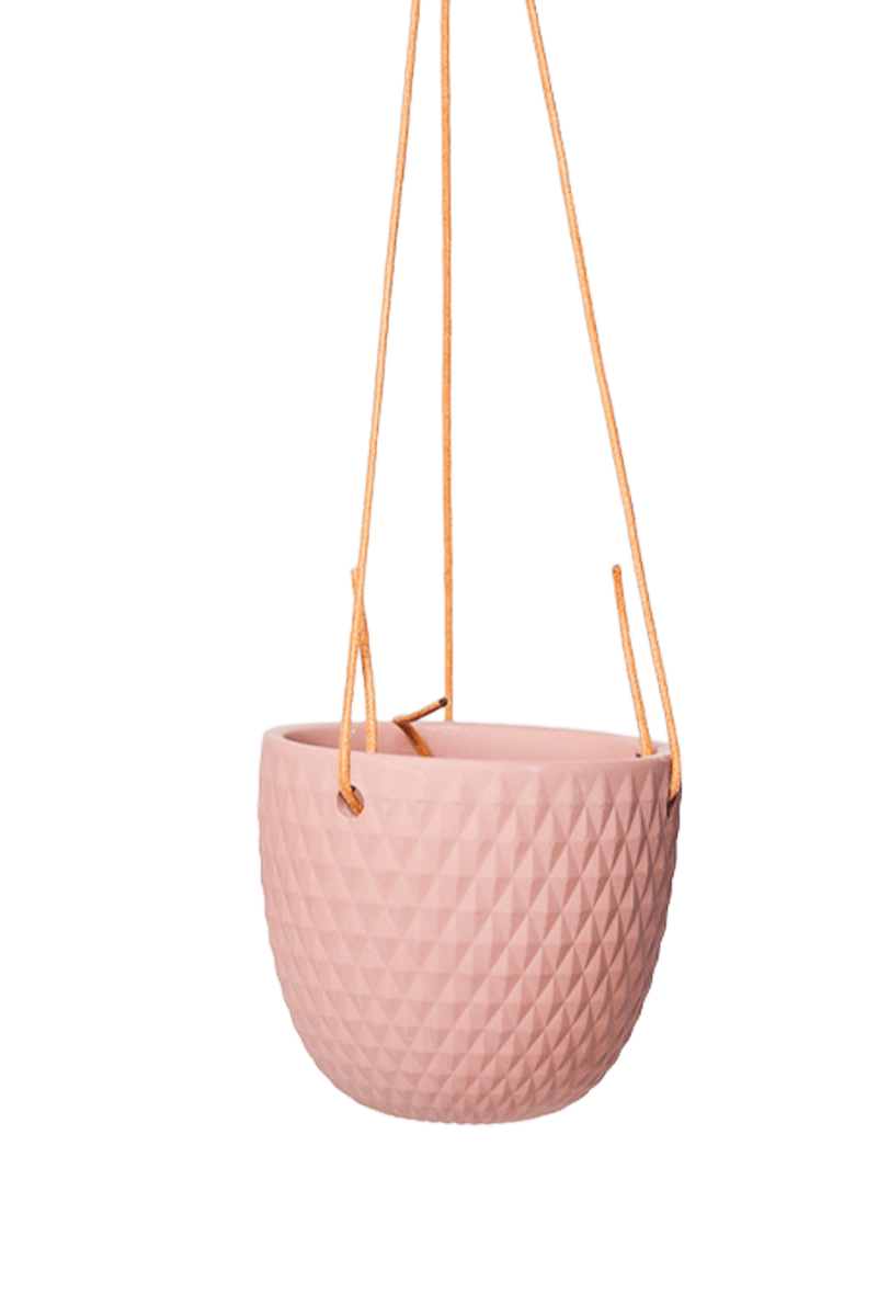 Virago Ceramic Modern Hanging Planter - Chive US Wholesale