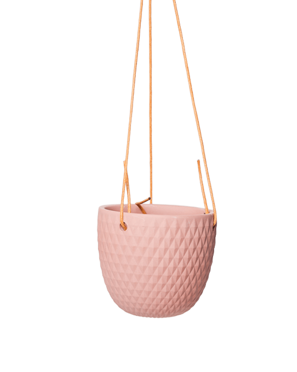 Virago Ceramic Modern Hanging Planter - Chive US Wholesale